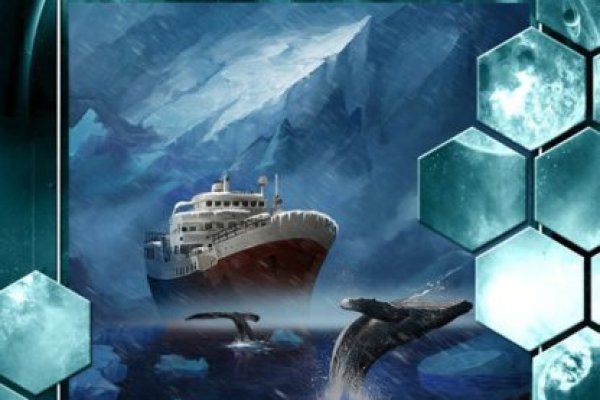Kraken что это за магазин