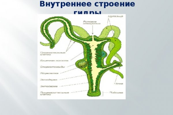 Как зайти на кракен без тора