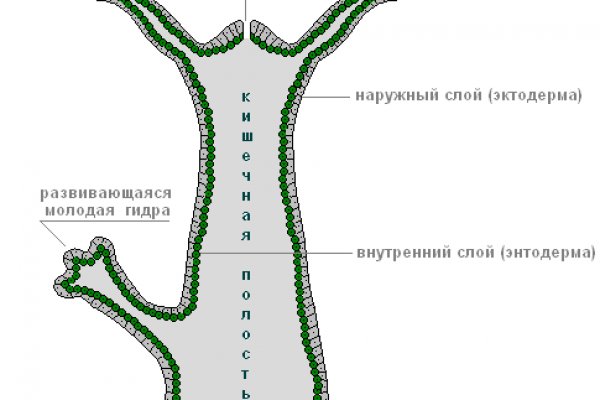 Кракен это сайт что продают