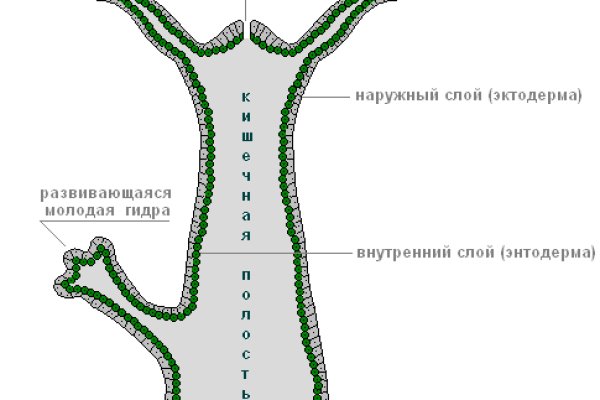 Кракен обход