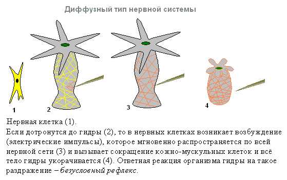 Kraken найдется все